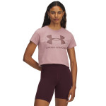 Under Armour UA Logo SS 