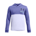 Under Armour Boys' UA Rival Terry Hoodie 
