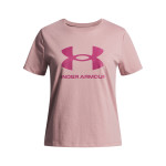 Under Armour UA BIG LOGO SS 