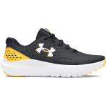 Under Armour UA BGS Surge 4 