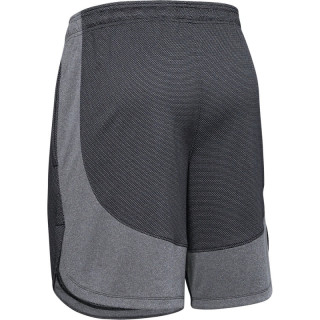 Under Armour Men's UA Knit Performance Training Shorts