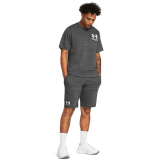 Under Armour Men's UA Rival Terry Shorts