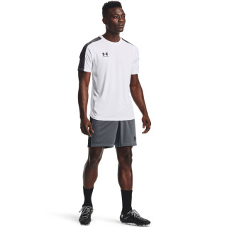 Under Armour Men's UA Challenger Knit Shorts 