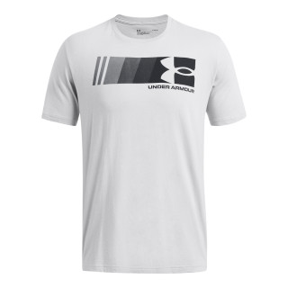 Under Armour UA M Fast L Chest SW MFO