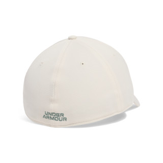Under Armour Men's UA Blitzing 