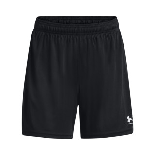 Under Armour Women's UA Challenger Knit Shorts 