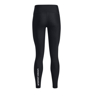 Under Armour Women's HeatGear® Evolved Graphic Leggings 