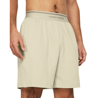 Under Armour Men's UA Journey Rib Shorts 