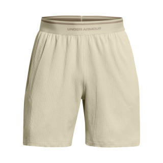 Under Armour Men's UA Journey Rib Shorts 