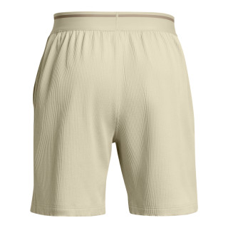 Under Armour Men's UA Journey Rib Shorts 