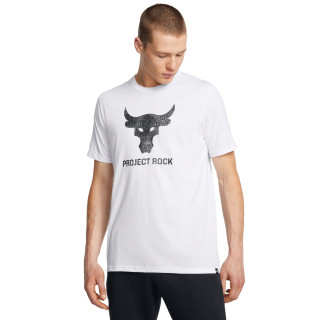 Under Armour UA Pjt Rck Payoff Graphc SS 