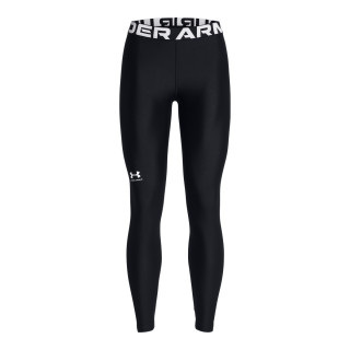 Under Armour Women's HeatGear® Leggings 