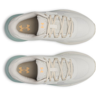 Under Armour Ua W Charged Bandit Tr 3 