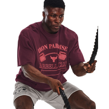 Under Armour Men's Project Rock Iron Paradise Heavyweight Terry Crew 
