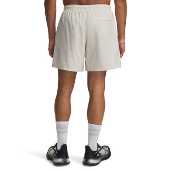 Under Armour UA Icon Volley Short 