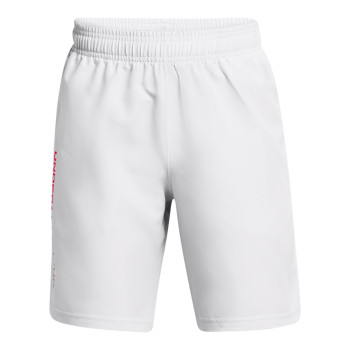 Under Armour Boys' UA Tech™ Woven Wordmark Shorts 
