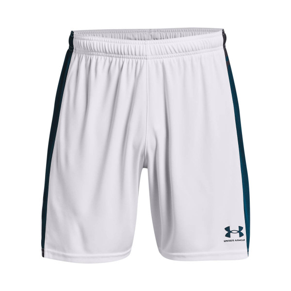 Under Armour Men's UA Challenger Knit Shorts 